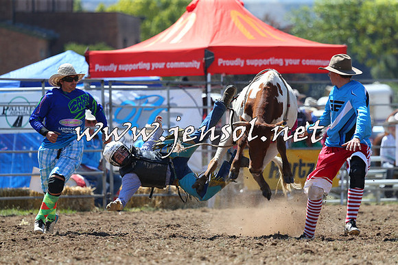 QueanbeyanRodeo2015_1590