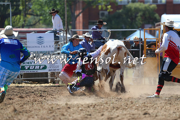 QueanbeyanRodeo2015_1227
