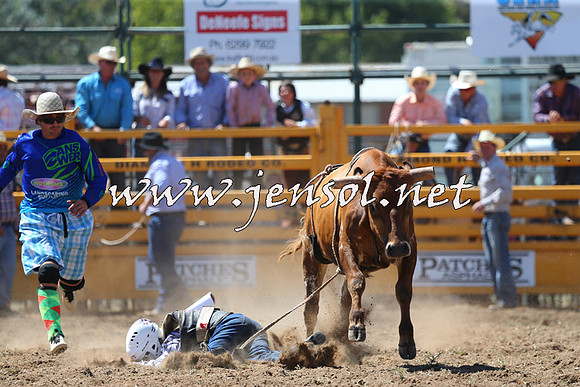 QueanbeyanRodeo2015_1608