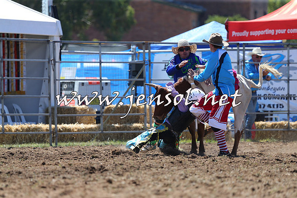 QueanbeyanRodeo2015_1171