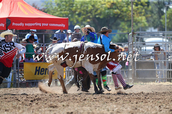 QueanbeyanRodeo2015_1269