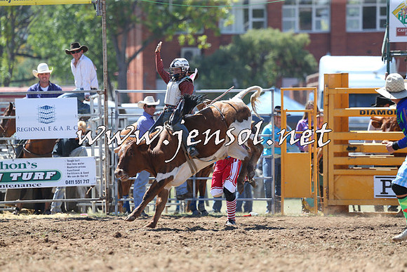 QueanbeyanRodeo2015_1182