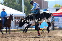 QueanbeyanRodeo2015_0632