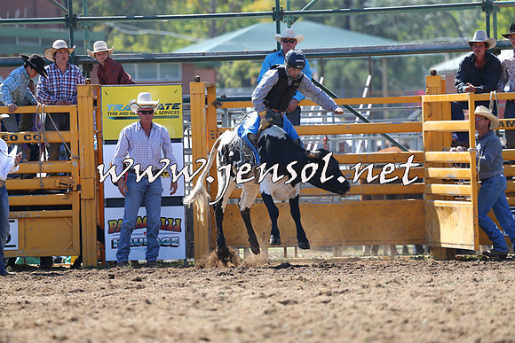 QueanbeyanRodeo2015_0880