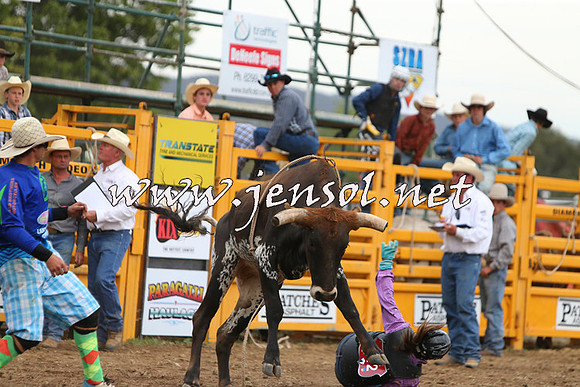 QueanbeyanRodeo2015_2989