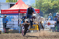 QueanbeyanRodeo2015_0700