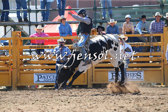 QueanbeyanRodeo2015_0883