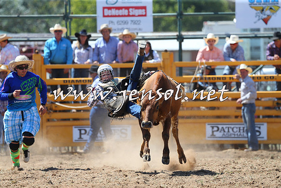 QueanbeyanRodeo2015_1609