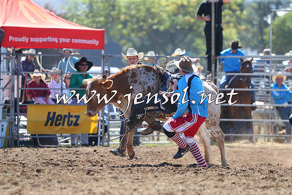 QueanbeyanRodeo2015_0715