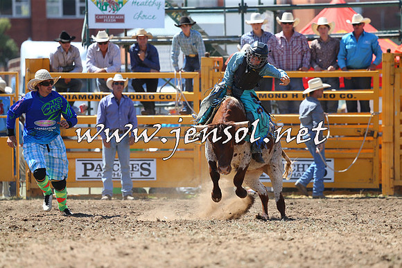 QueanbeyanRodeo2015_1671