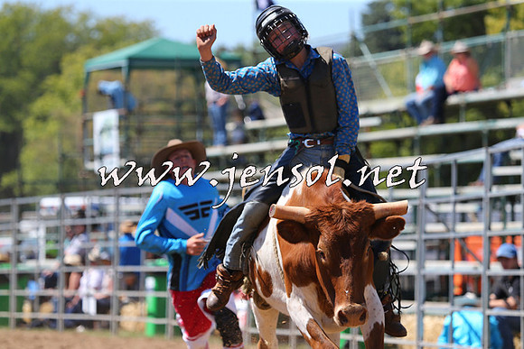 QueanbeyanRodeo2015_1733