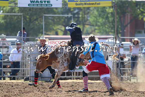 QueanbeyanRodeo2015_0722