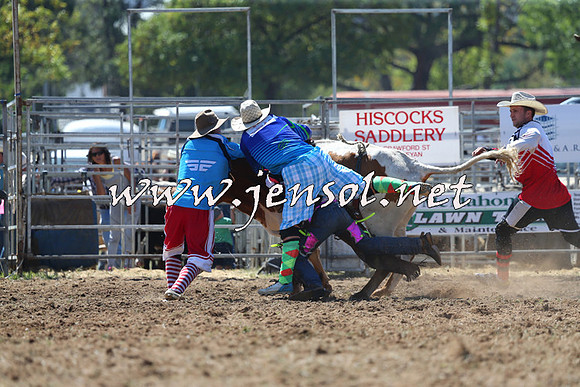 QueanbeyanRodeo2015_1245