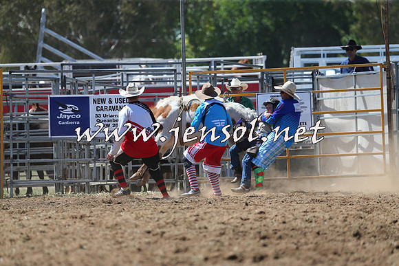 QueanbeyanRodeo2015_1555