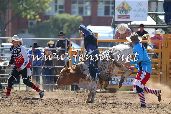 QueanbeyanRodeo2015_0710