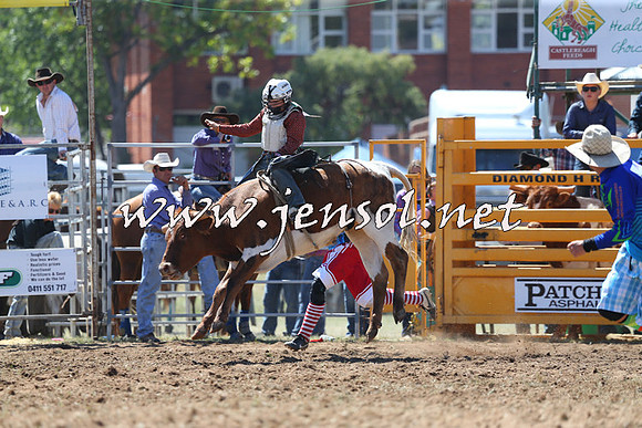 QueanbeyanRodeo2015_1184