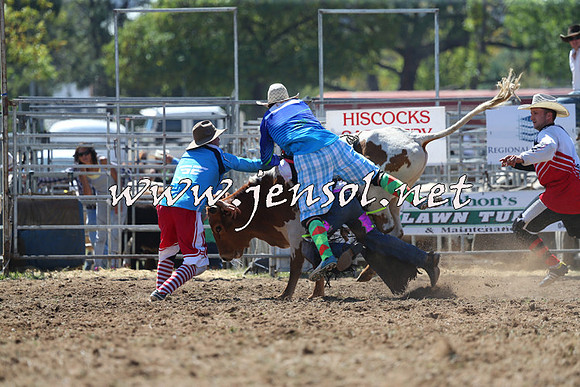 QueanbeyanRodeo2015_1243