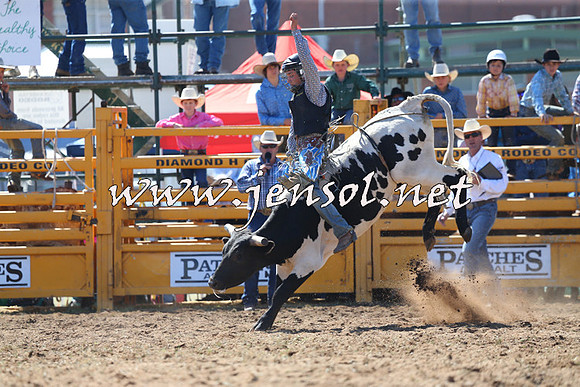 QueanbeyanRodeo2015_0894