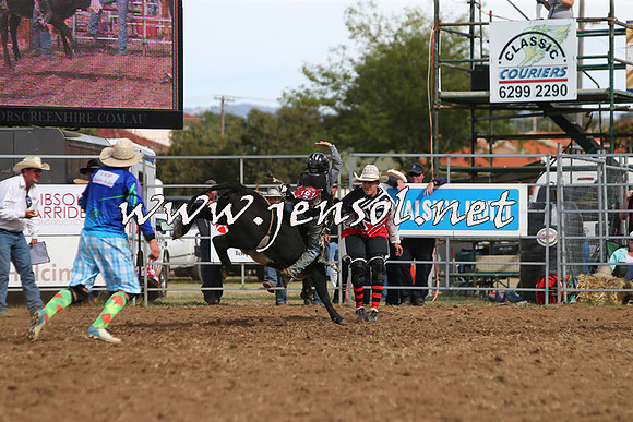QueanbeyanRodeo2015_2807