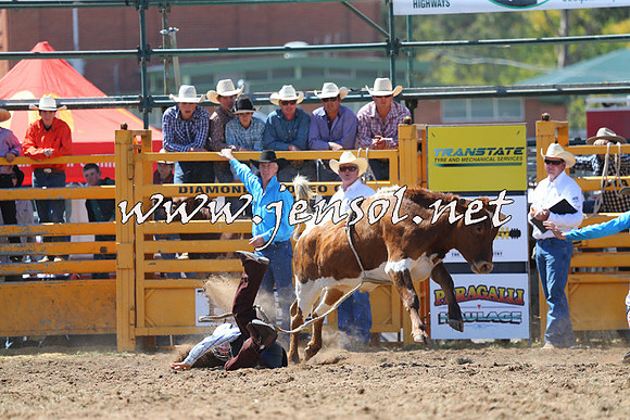 QueanbeyanRodeo2015_1559