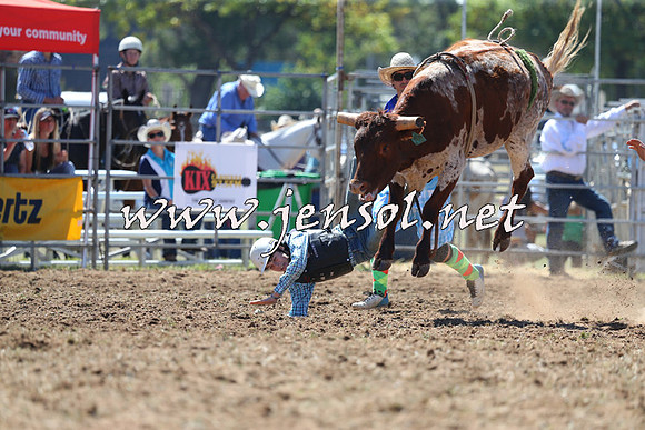 QueanbeyanRodeo2015_1115