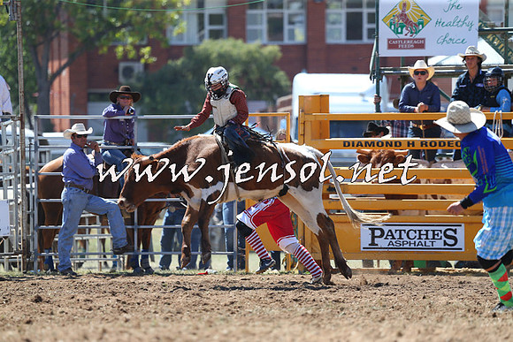 QueanbeyanRodeo2015_1185