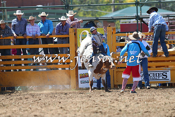 QueanbeyanRodeo2015_1542