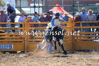 QueanbeyanRodeo2015_0614