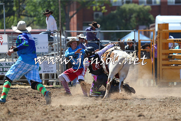 QueanbeyanRodeo2015_1225