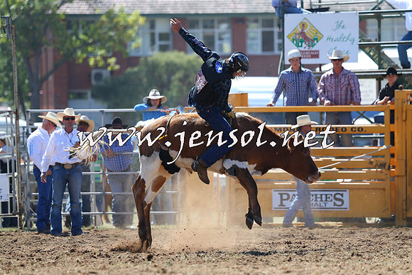 QueanbeyanRodeo2015_0833