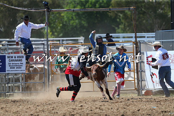 QueanbeyanRodeo2015_1633
