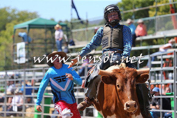 QueanbeyanRodeo2015_1734