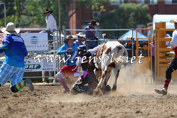 QueanbeyanRodeo2015_1226