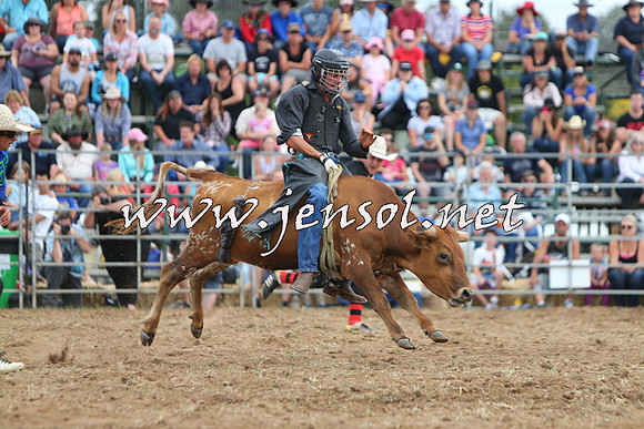 QueanbeyanRodeo2015_3043