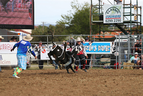 QueanbeyanRodeo2015_2806