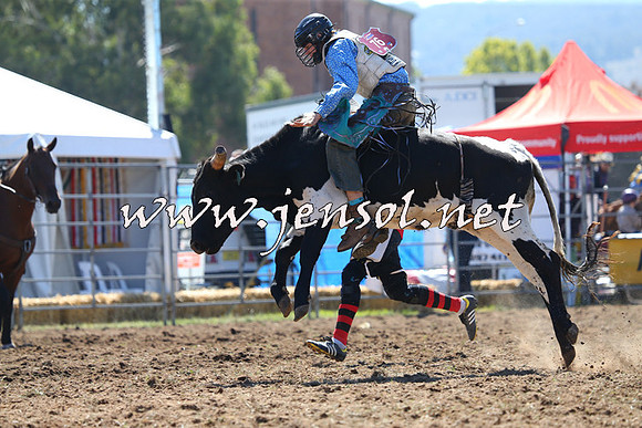 QueanbeyanRodeo2015_0630