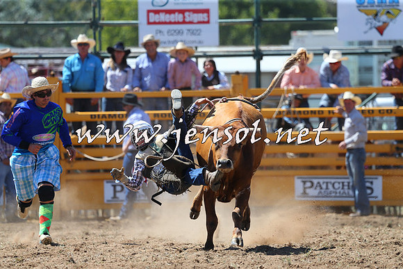 QueanbeyanRodeo2015_1606