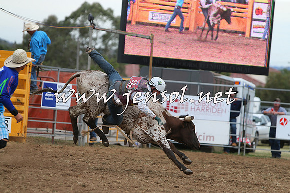 QueanbeyanRodeo2015_2979