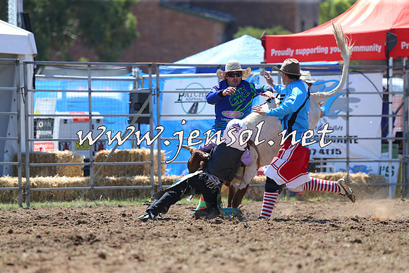 QueanbeyanRodeo2015_1154