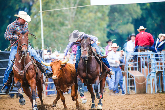 TumutRodeo2017_0213