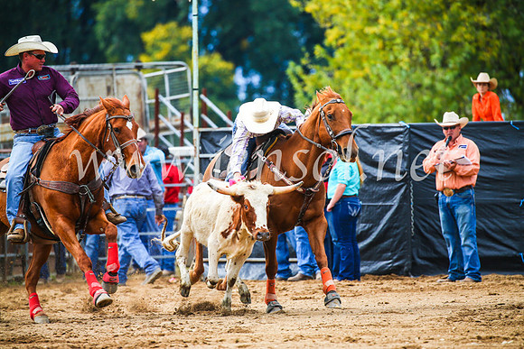 TumutRodeo2017_0708