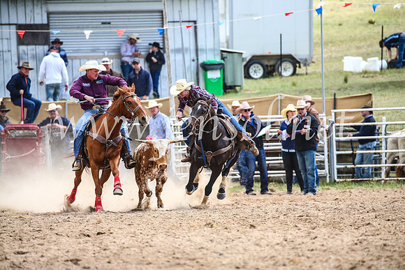 BungendoreRodeo2017_0375