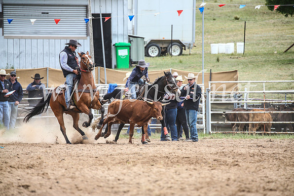 BungendoreRodeo2017_0223