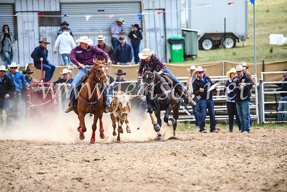 BungendoreRodeo2017_0363