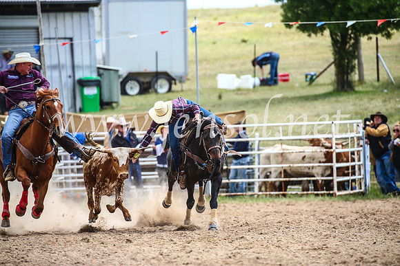 BungendoreRodeo2017_0365