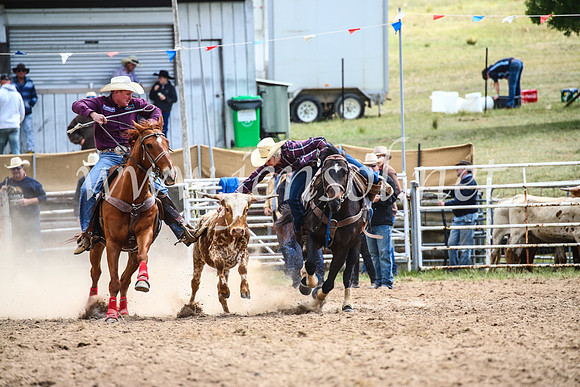 BungendoreRodeo2017_0371