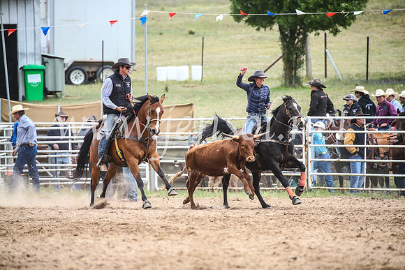 BungendoreRodeo2017_0221