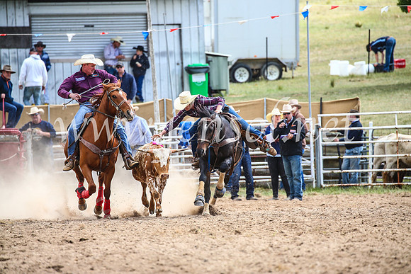 BungendoreRodeo2017_0379