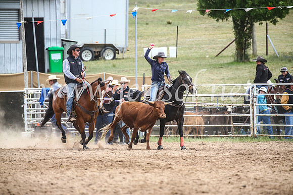 BungendoreRodeo2017_0217