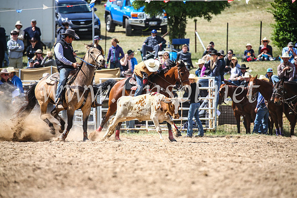 BungendoreRodeo2017_4177